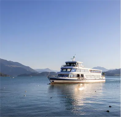 Zurich City Tour with Lake Cruise