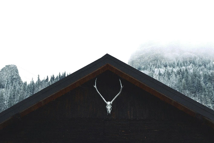 A house with Alp Horns on the roof