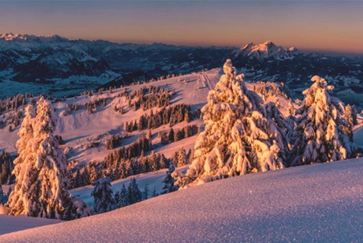 Rigi, a snowy mountain with trees in Switzerland