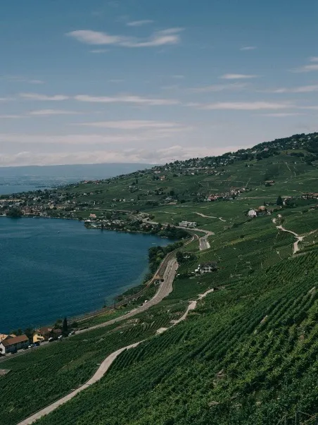 A lush, grassy lakeshore in Lausanne, Vaud, Switzerland, during summer.